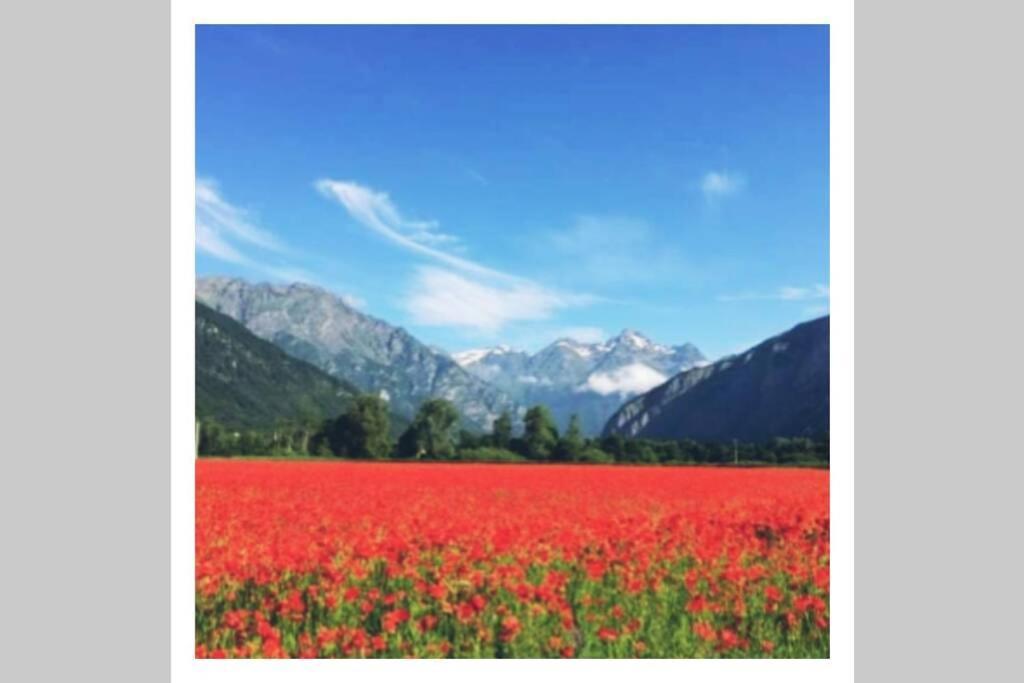 L'Edelweis Apartment Le Bourg-dʼOisans Екстериор снимка